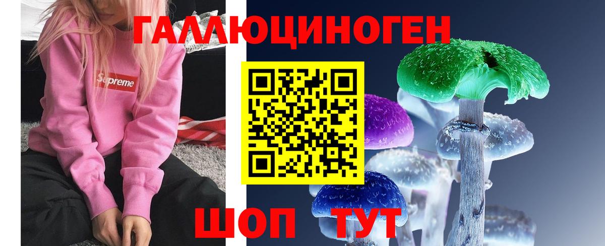 Шелехов  купить закладку  Галлюциногенные грибы ЛСД  Вход с VPN  Псилоцибиновые грибы Psilocybine cubensis 